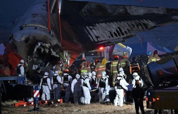 Schianto in Corea del Sud: le scatole nere hanno smesso di registrare prima dell’incidente