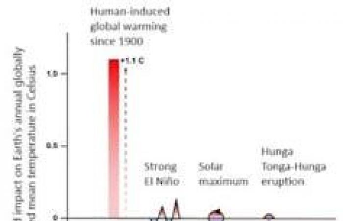 Perché il record della temperatura nel 2024 è una sorpresa per gli scienziati