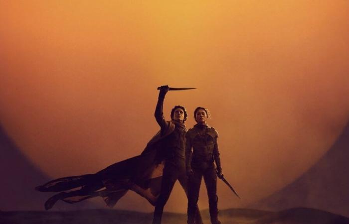 “Diventerebbe malsano” Denis Villeneuve conferma uno dei timori di tutti i fan con l’uscita del prossimo film Dune