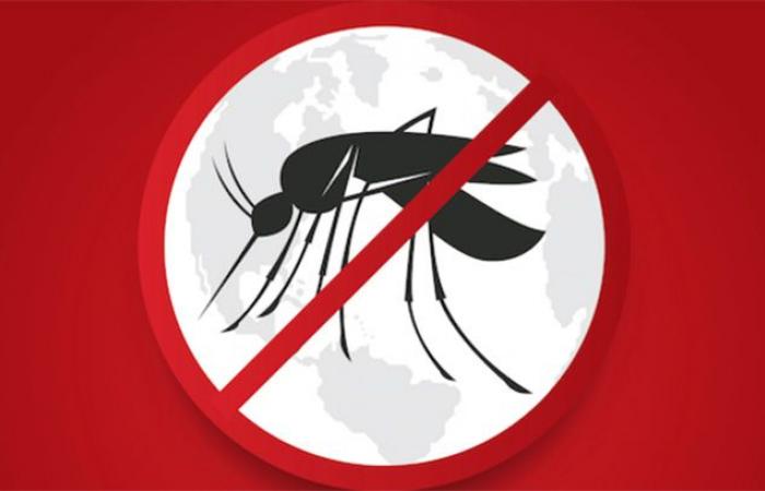 Lotta contro la malaria: l’OMS prequalifica un test diagnostico – Lequotidien