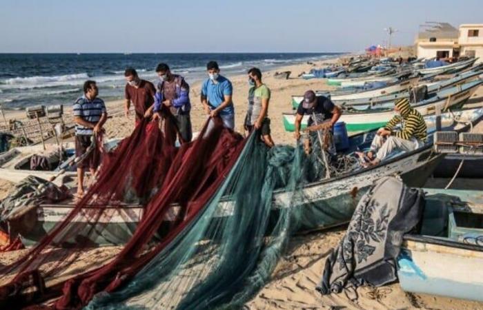 Aumento del 12% degli sbarchi di pesca nel porto di Lamhiriz