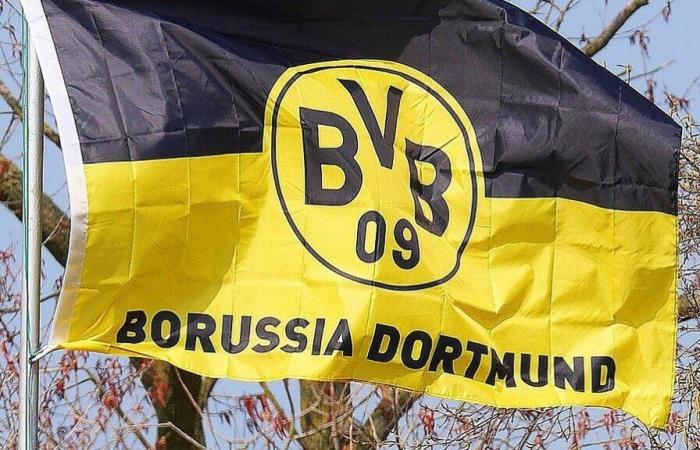 “Troppo facile”: l’allenatore del BVB fatica con la difesa centrale – 01/11/25 – Notizie