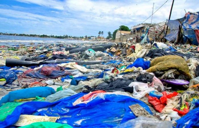 Disinquinamento di Hann Bay (Senegal): riportare a norma le unità industriali e migliorare la qualità dell’acqua per un futuro più sano, secondo Cheikh Tidiane Dièye – VivAfrik