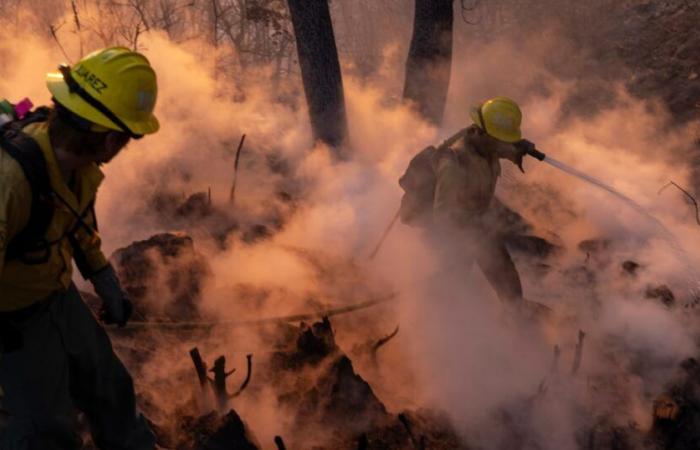 Nuovi ordini di evacuazione mentre il fuoco di Palisades si espande