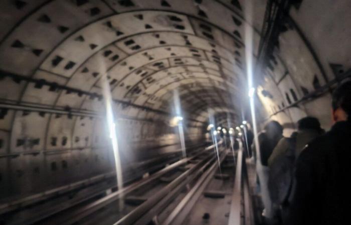 Tolosa. Bloccati nella metropolitana per 1 ora e 20 minuti, i passeggeri evacuati attraverso il tunnel: “un’esperienza unica”