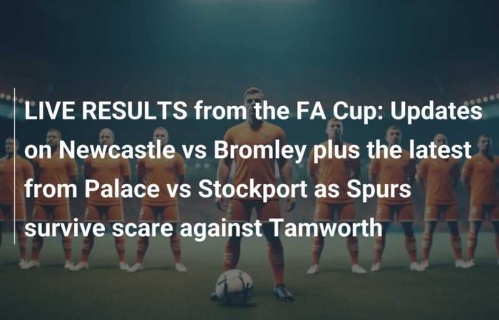 RISULTATI IN TEMPO REALE dalla FA Cup: aggiornamenti su Newcastle vs Bromley più le ultime novità su Palace vs Stockport mentre gli Spurs sopravvivono allo spavento contro Tamworth