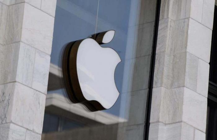 Apple vuole mantenere i programmi sulla diversità rinnegati da altre aziende