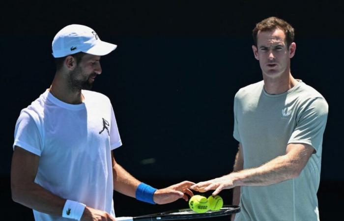 appena reclutato, cosa può portare Andy Murray a Novak Djokovic?