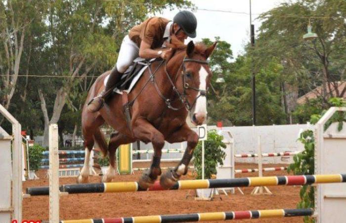 Federazione Sport Equestri: Denunciate le pratiche del “Leundeum Loubbeul Lijeunti” (comunicato stampa)