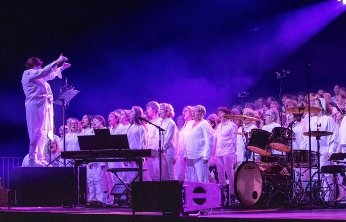 500 cantanti star del concerto delle più belle canzoni francesi