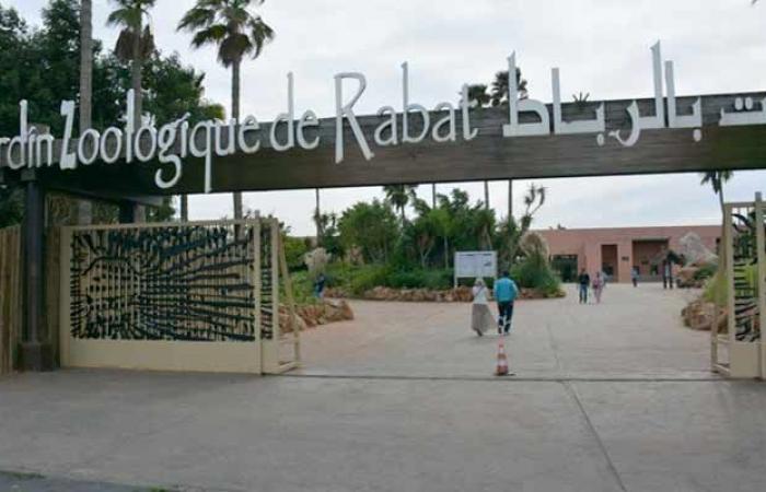 Il Giardino Zoologico Nazionale è l’attrazione più visitata di Rabat