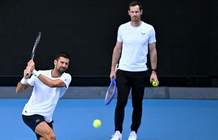 agli Australian Open, la coppia Novak Djokovic-Andy Murray pronta a far scintilla