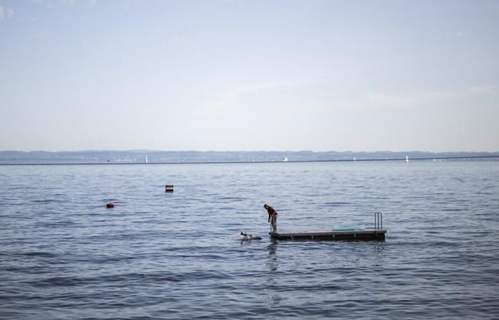 Osso trovato vicino al relitto di un aereo sul Lago di Costanza