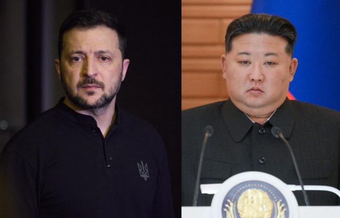 Volodymyr Zelenskyj propone lo scambio di prigionieri