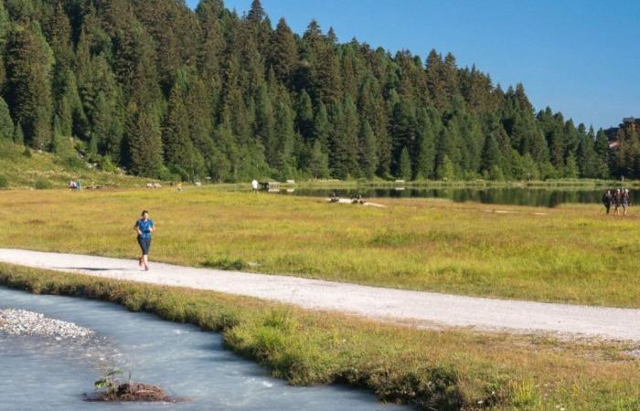 Gard: un jogger tra la vita e la morte dopo essere stato aggredito con un coltello da un uomo in un parco