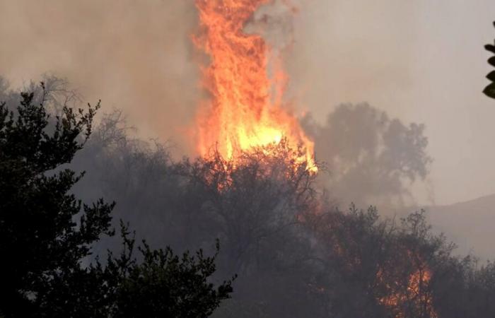 Gli incendi continuano a diffondersi in vaste aree nei sobborghi di Los Angeles politica