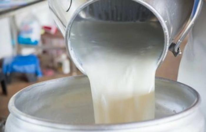 Il Senegal vuole ispirarsi al modello ugandese per incrementare la produzione di latte