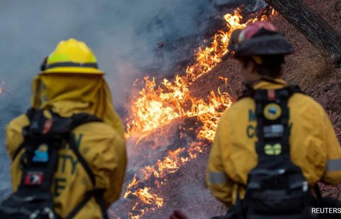 24 morti, oltre 12.000 strutture bruciate negli incendi di Los Angeles: 10 punti