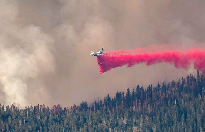 Incendi in California: schierati 60 vigili del fuoco canadesi