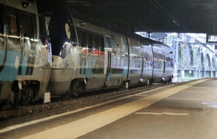 300 passeggeri evacuati da un treno e riparati alla stazione di Bayonne