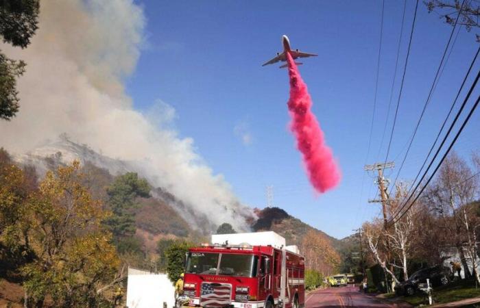 a cosa serve questa polvere rosa versata dai bombardieri?