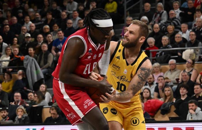 BASKET (Betclic Elite): Elan Chalon supera La Rochelle, tra contrasti e paradossi