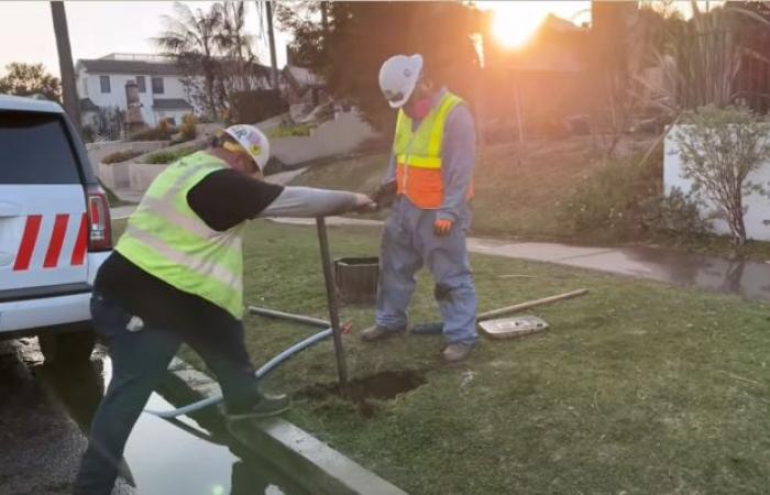 Aggiornamento sulla risposta alla tempesta di vento del LADWP – domenica 12 gennaio 2025: 7:00