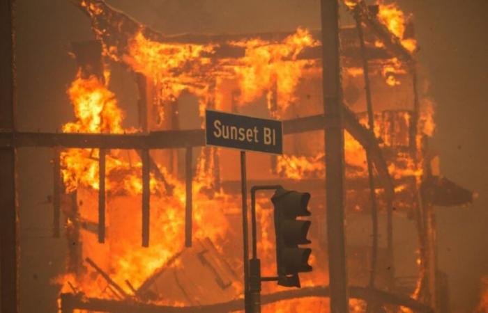 Il bilancio delle vittime degli incendi di Los Angeles sale a 24 mentre Gavin Newsom deve affrontare un nuovo controllo sui finanziamenti per la lotta agli incendi