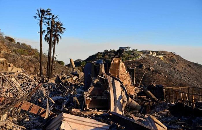 Come? Le palme non bruciano? E quella casa, perché è ancora in piedi?