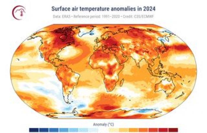 Possiamo invertire la distruzione delle foreste tropicali del mondo?