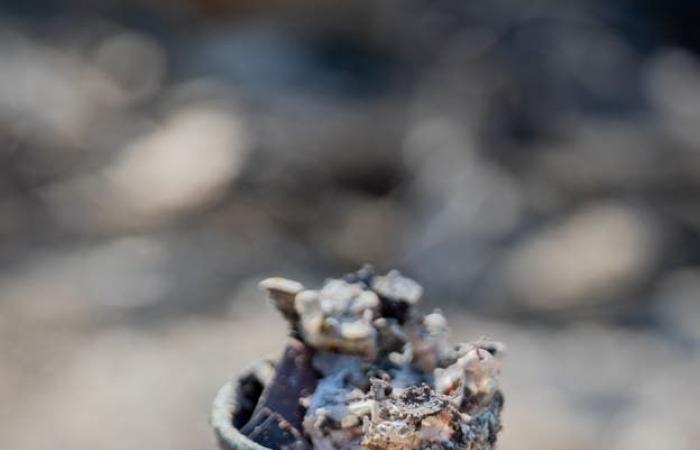 Uno sguardo al disastro dell’incendio di Los Angeles