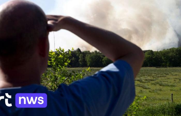 “Il Belgio non è pronto ad affrontare un aumento degli incendi boschivi”, avverte il Climate Risk Center