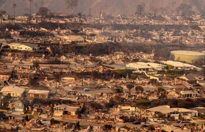 Incendi a Los Angeles: 11 morti e oltre 14mila ettari in fumo