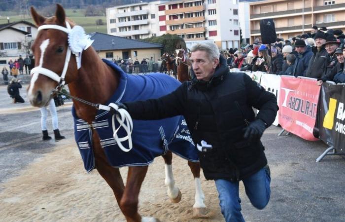 Pierre Koller e “Érable” vincono la Selezione Nazionale degli stalloni Franches-Montagnes