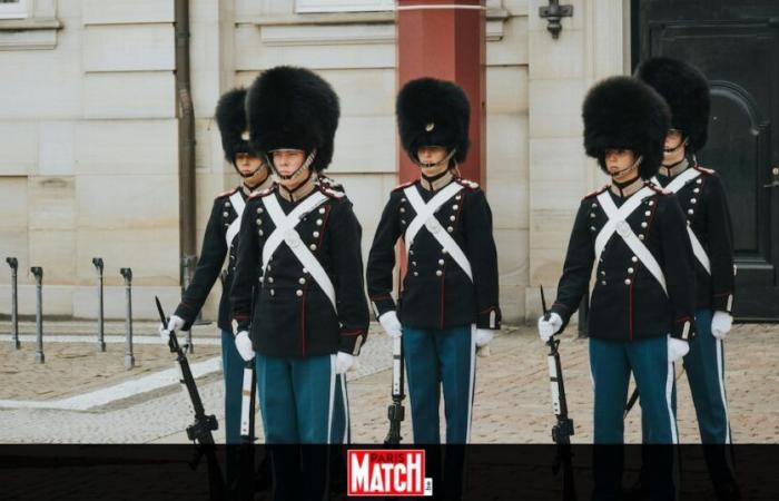 Dramma reale: una guardia gli trafigge la testa davanti al Palazzo di Stoccolma