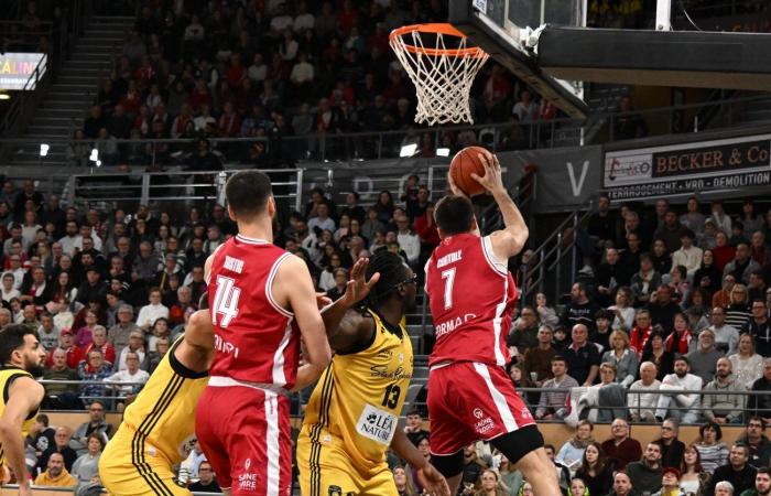 BASKET (Betclic Elite): Elan Chalon supera La Rochelle, tra contrasti e paradossi