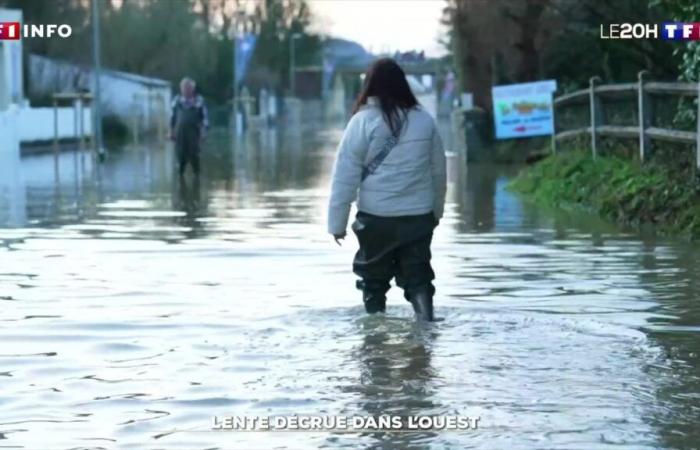 Lento declino in Occidente | INFORMAZIONI TF1