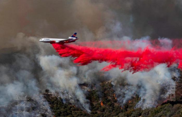 l’ex star bambina gravemente disabile è morta a 32 anni negli incendi di Los Angeles