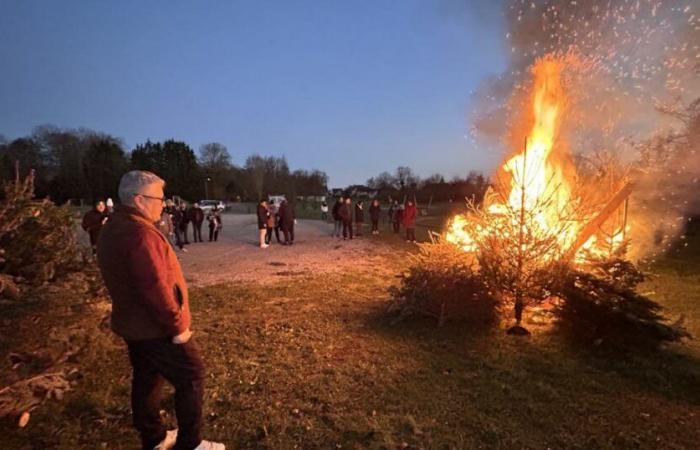 Costa d’Oro. Bruciare gli alberi di Natale: inquinanti, vietati ma popolari