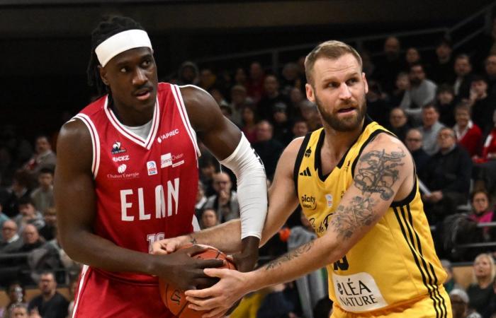 BASKET (Betclic Elite): Elan Chalon supera La Rochelle, tra contrasti e paradossi