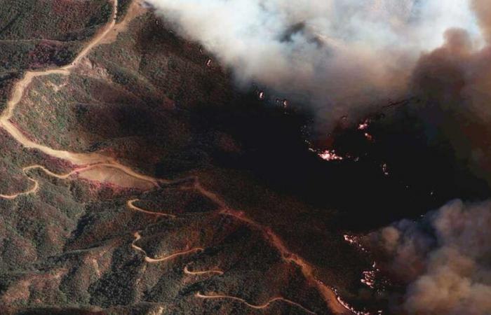 Incendi furiosi nell’inferno di Los Angeles… e terrore da “folti di vento”