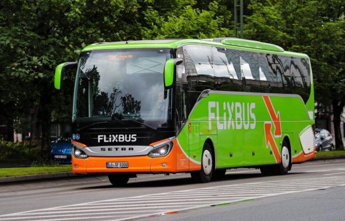 Una donna di 29 anni e un uomo di 48 anni morti in un incidente sull’autobus Flixbus