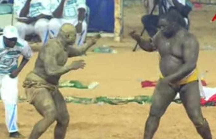 Wrestling senegalese: l’irruente Zarco, come un tenore, spinge il veterano Gris Bordeaux ormai vicino al ritiro