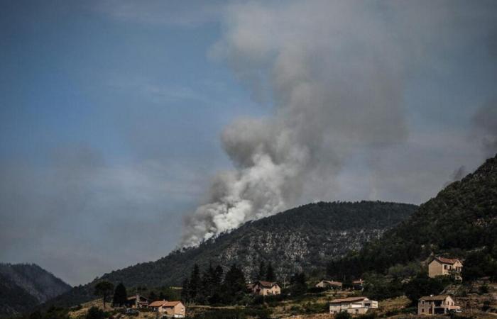 Come si sono rigenerate le foreste del massiccio della Colle Noire dopo un devastante incendio