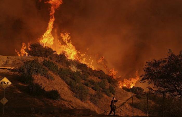 Incendi a Los Angeles: sale a 16 morti il ​​bilancio provvisorio, le fiamme guadagnano terreno