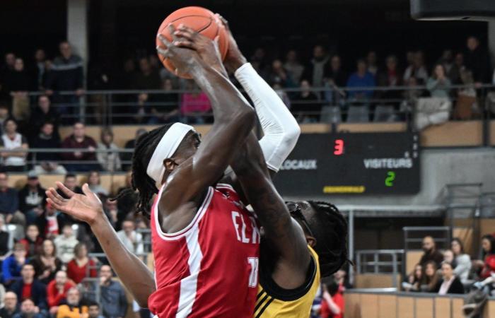 BASKET (Betclic Elite): Elan Chalon supera La Rochelle, tra contrasti e paradossi