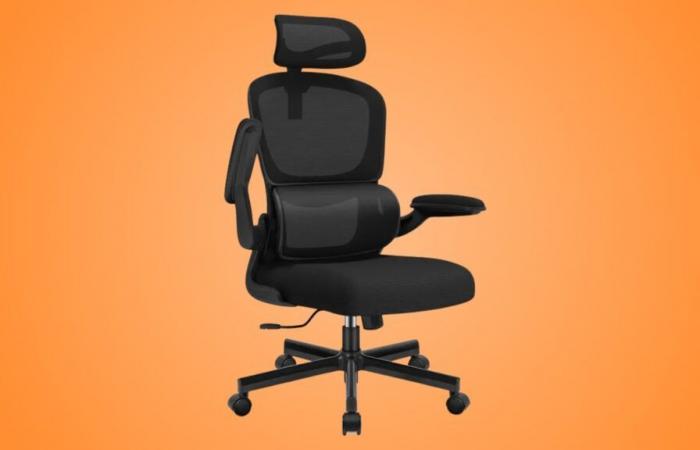 Ottieni comfort con questa sedia da ufficio a un prezzo speciale su Cdiscount