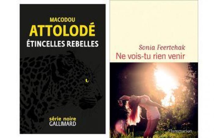 Il resto della selezione del Premio franceinfo 2025 per l’attualità e il fumetto di cronaca, Macodou Attolodé e Sonia Feertchak