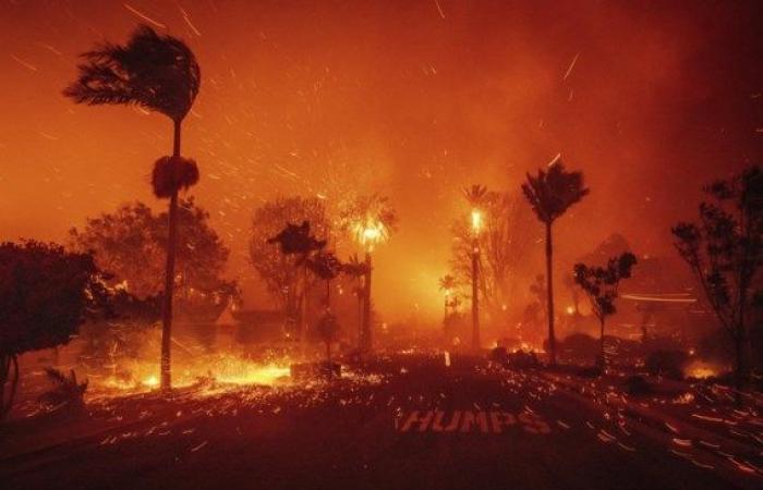 Almeno 16 persone sono morte negli incendi a Los Angeles