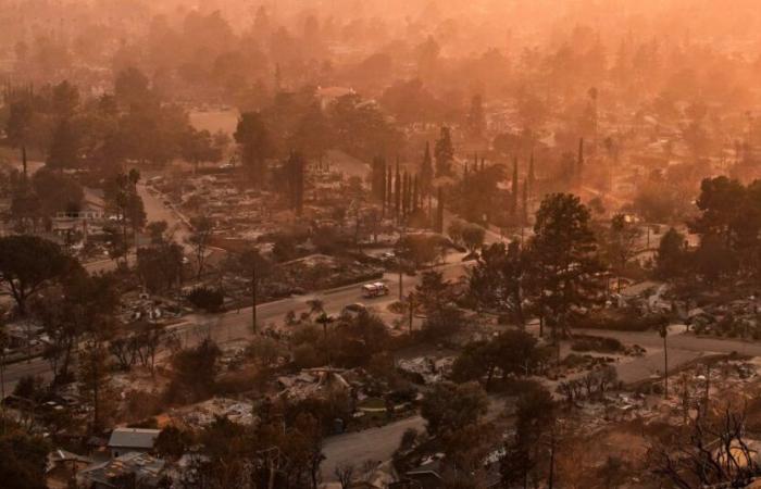 Cosa ha innescato i mortali incendi della California?